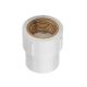 Adaptor female100 mm UPVC - Brass