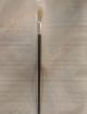 PAINTING BRUSH 10MM